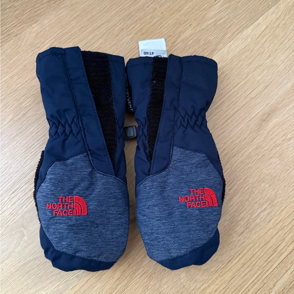 The North Face Blue and Black Mittens